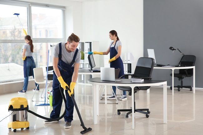 Professional Cleaner