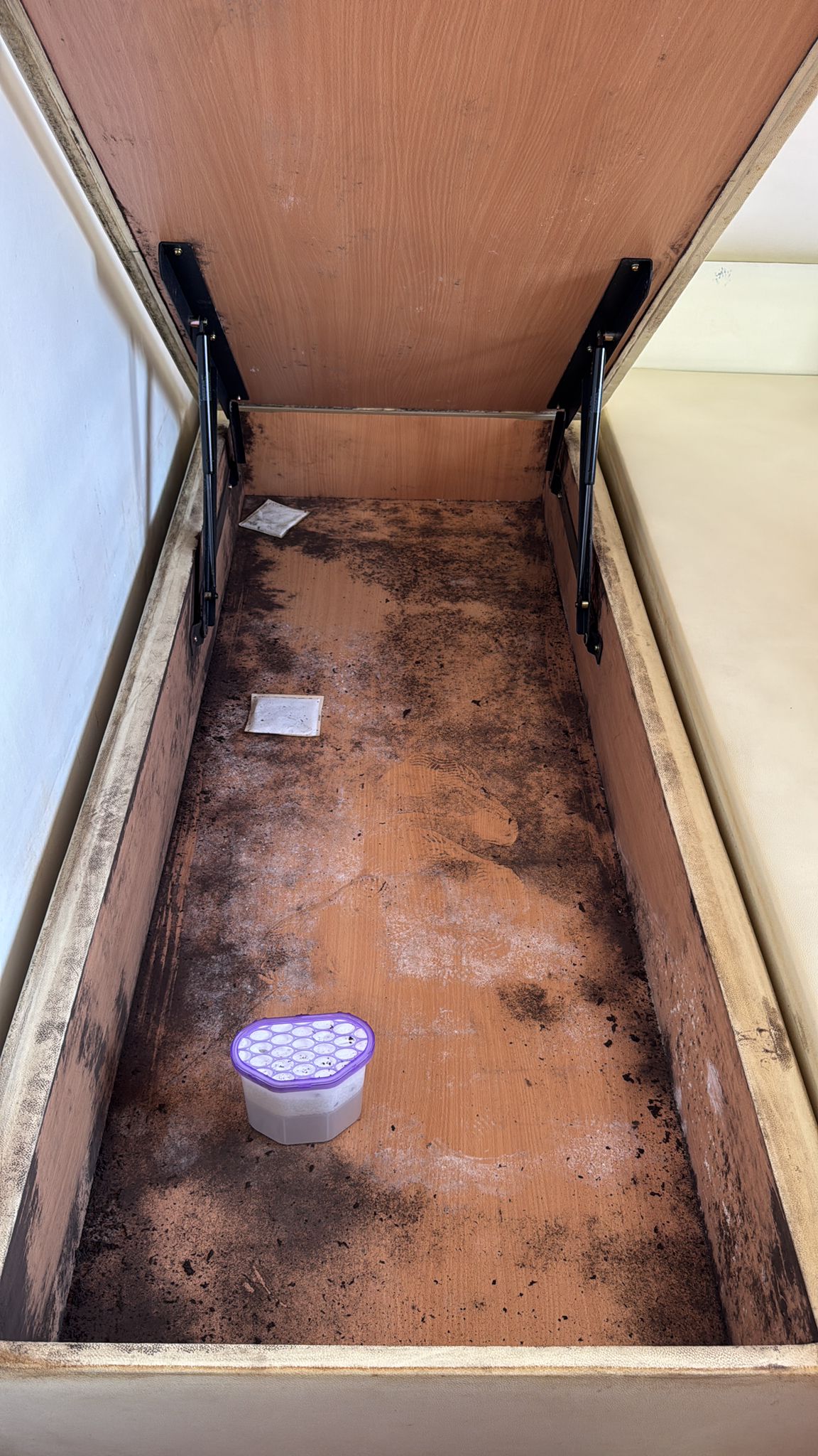 before image