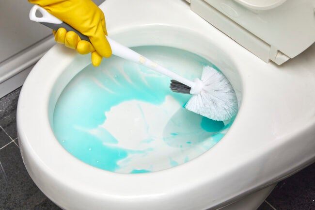 Toilet Cleaning